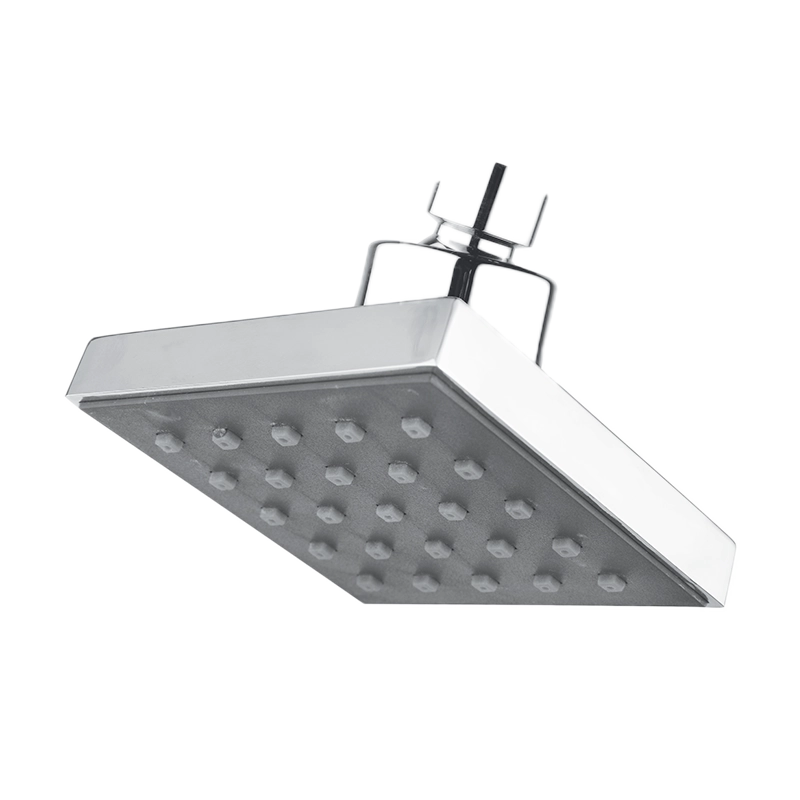 BS-79 Over Head Shower