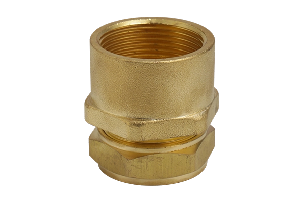 Brass Female Threaded Adapter variant 2