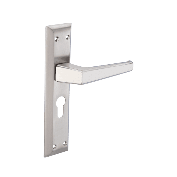 HLB-1747-SS-E-10inch Door Handles – Brass / Zinc
