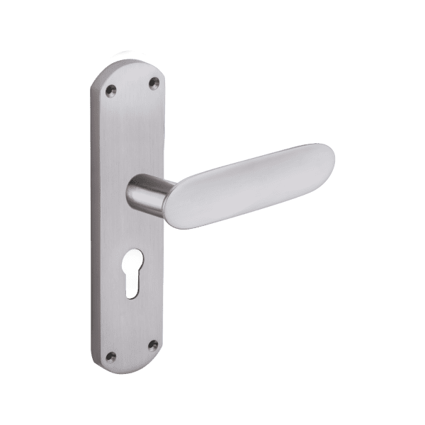 HLS-0405-SSM-E-8inch Door Handles – Brass / Zinc
